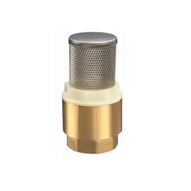 Customized Heavier Type Brass Check Valve Vertical Stainless Steel ...